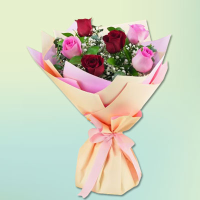 "6 Red and Pink Ros.. - Click here to View more details about this Product